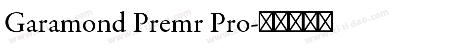 Garamond Premr Pro字体转换